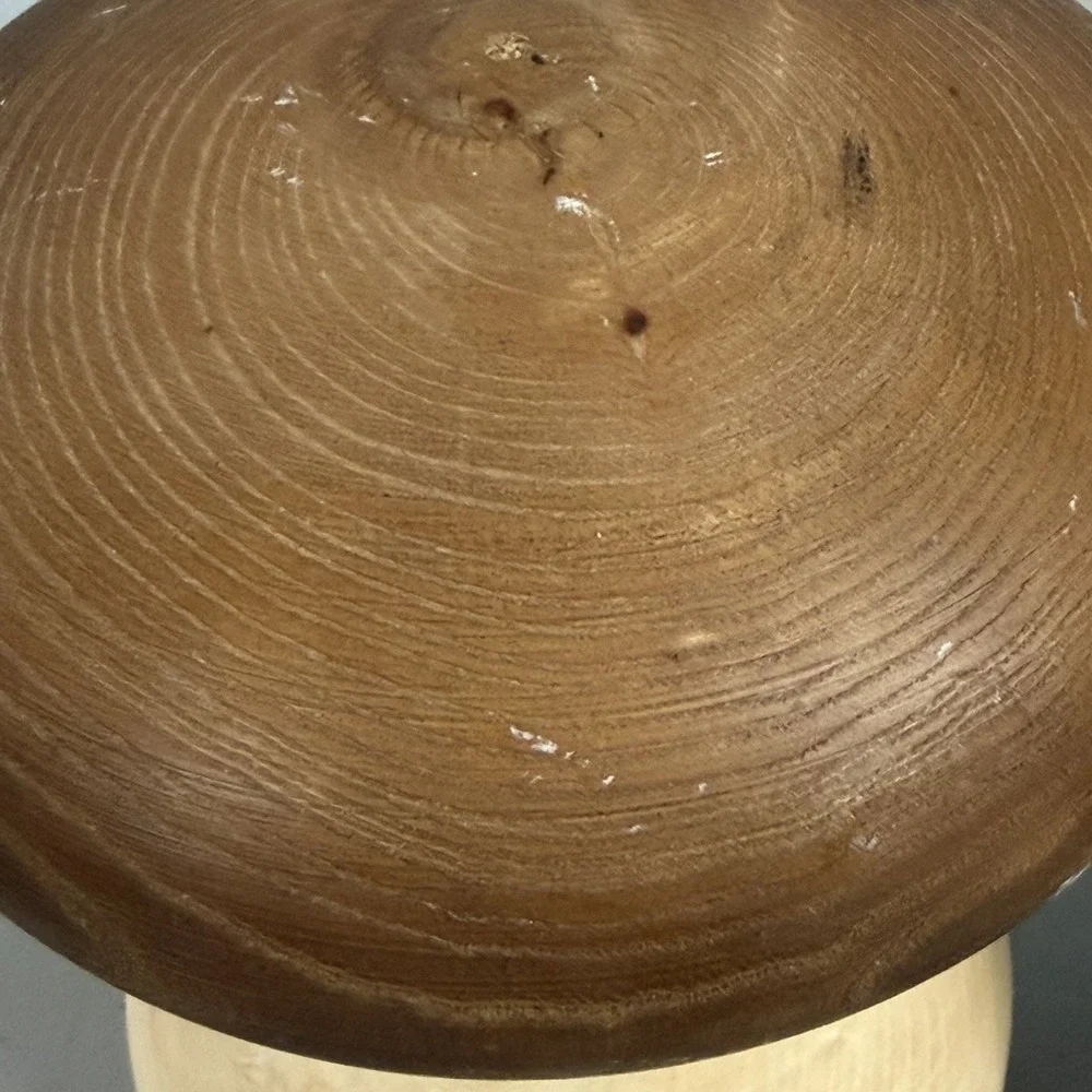 2 Mushroom Shape Wood Containers with Removable Mushroom Cap Lids Decor